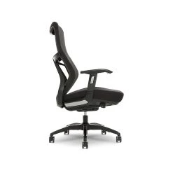 Beautyrest Duo-EX Ergonomic Mesh Swivel Task Chair, Black/Gray (60051GRY) -Cheap The Flex Chair Store unnamed file 4348