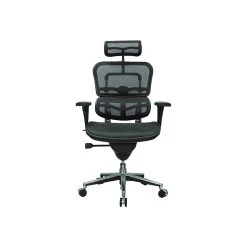 Eurotech High Back Mesh Task Chair, Black (ME7ERG(N))
