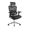 Raynor Marketing Ergo Elite Mesh Task Chair, Black (ME22ERGLT-BLK) -Cheap The Flex Chair Store unnamed file 4657