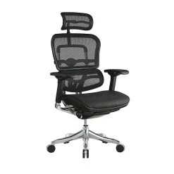 Raynor Marketing Ergo Elite Mesh Task Chair, Black (ME22ERGLT-BLK)
