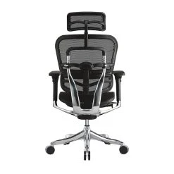 Raynor Marketing Ergo Elite Mesh Task Chair, Black (ME22ERGLT-BLK) -Cheap The Flex Chair Store unnamed file 4659
