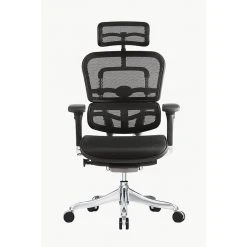 Raynor Marketing Ergo Elite Mesh Task Chair, Black (ME22ERGLT-BLK) -Cheap The Flex Chair Store unnamed file 4660