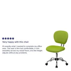 Flash Furniture Mid Back Mesh Task Chair, Apple Green (H2376FGN) -Cheap The Flex Chair Store unnamed file 4688