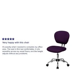 Flash Furniture Mesh Task Chairs With Chrome Base (H2376FPUR) -Cheap The Flex Chair Store unnamed file 5033
