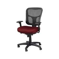 Tempur-Pedic TP8000 Mesh Task Chair, Burgundy (TP8000-BURG) -Cheap The Flex Chair Store unnamed file 5264