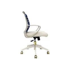 The Raynor Group Elizabeth Sutton Gramercy Fabric Swivel Task Chair, Blue Prism White Gold (K-ESGR-WHT-PRSM-GLD) 10 The Raynor Group Elizabeth Sutton Gramercy Fabric Swivel Task Chair, Blue Prism White Gold (K-ESGR-WHT-PRSM-GLD) -Cheap The Flex Chair Store unnamed file 5581