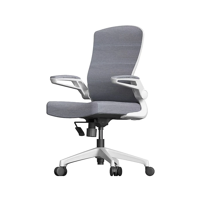 RAYNOR GROUP ION Fabric Task Chair, Gray/White (ION-WH-GRY) 3 RAYNOR GROUP ION Fabric Task Chair, Gray/White (ION-WH-GRY)