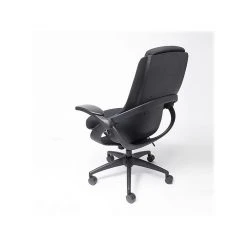 ALL33 BackStrong C1 Ergonomic Fabric Swivel Task Chair, Black (BS-BBF-50509) -Cheap The Flex Chair Store unnamed file 5975