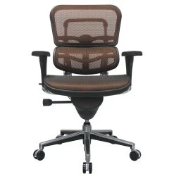 Raynor Eurotech Ergo Human Mesh Mid Back Task Chair, Orange -Cheap The Flex Chair Store unnamed file 6015