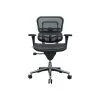 Raynor Low Back Mesh Task Chair, Black (ME8ERGLO(N)) -Cheap The Flex Chair Store unnamed file 6084