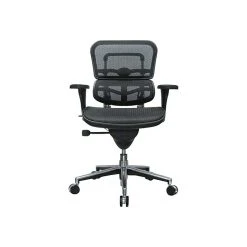 Raynor Low Back Mesh Task Chair, Black (ME8ERGLO(N))