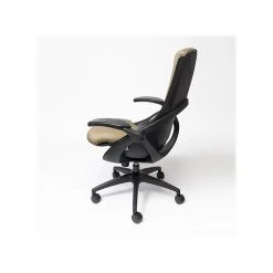 ALL33 BackStrong C1 Ergonomic Vegan Leather Swivel Task Chair, Tan/Black (BS-BTE-50506) 9 ALL33 BackStrong C1 Ergonomic Vegan Leather Swivel Task Chair, Tan/Black (BS-BTE-50506) -Cheap The Flex Chair Store unnamed file 6102