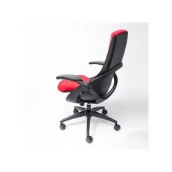 ALL33 BackStrong C1 Ergonomic Fabric Swivel Task Chair, Red/Black (BS-BRF-50511) -Cheap The Flex Chair Store unnamed file 6128