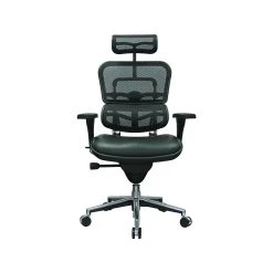 Eurotech Ergohuman Mesh Back Leather Task Chair, Black (LEM4ERG -LBK(N))